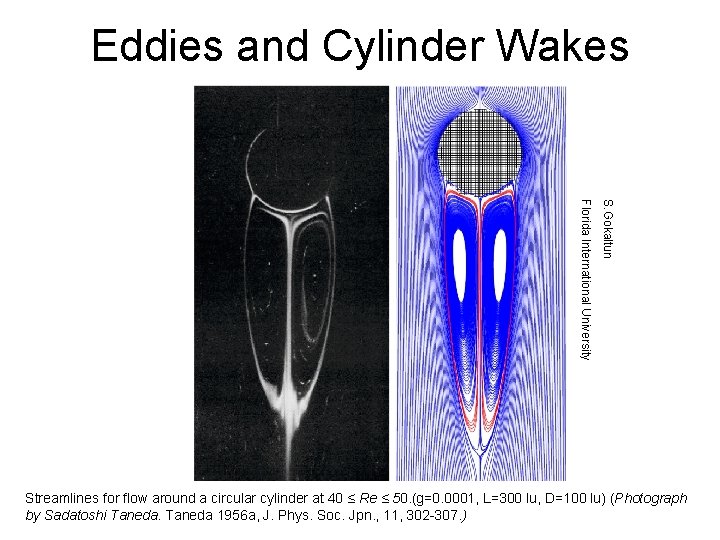 Eddies and Cylinder Wakes S. Gokaltun Florida International University Streamlines for flow around a
