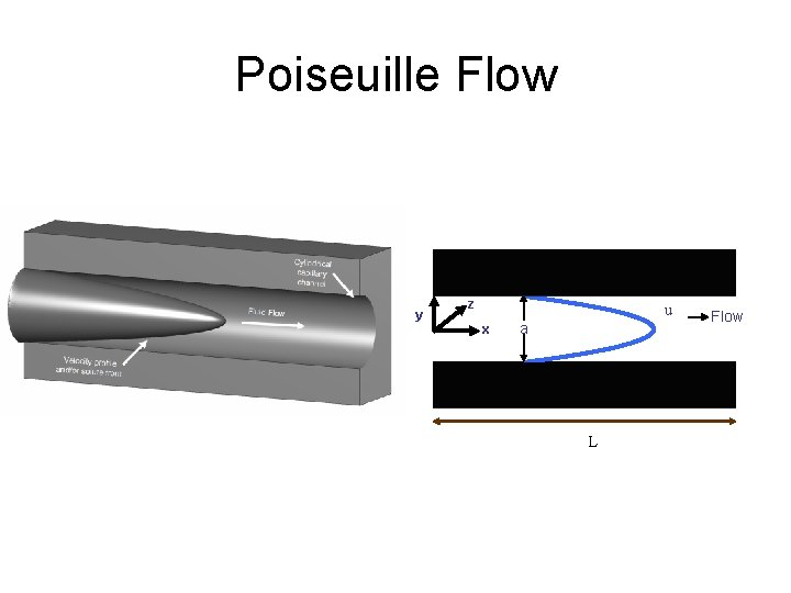 Poiseuille Flow y z u x a L Flow 