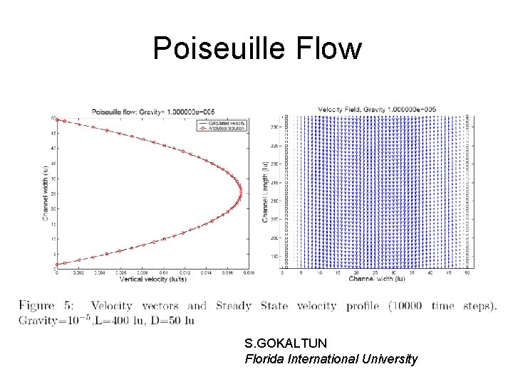 Poiseuille Flow S. GOKALTUN Florida International University 