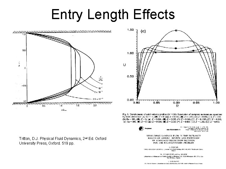 Entry Length Effects Tritton, D. J. Physical Fluid Dynamics, 2 nd Ed. Oxford University