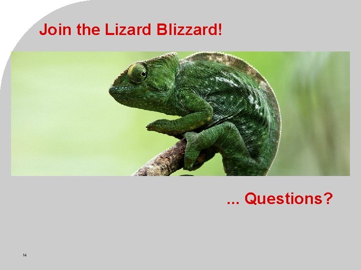 Join the Lizard Blizzard! . . . Questions? 14 © Novell Inc, Confidential &
