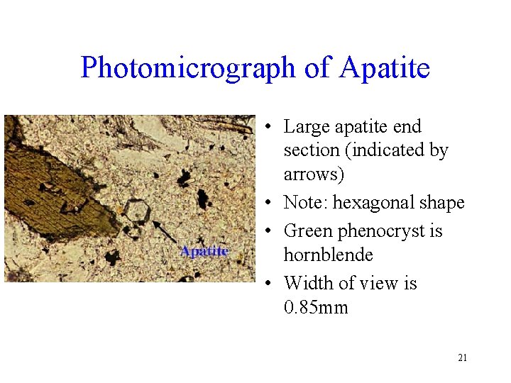 Photomicrograph of Apatite • Large apatite end section (indicated by arrows) • Note: hexagonal