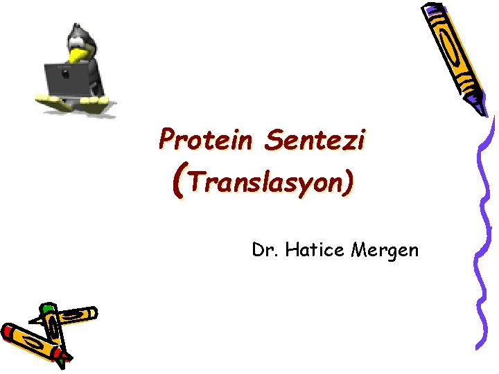 Protein Sentezi (Translasyon) Dr. Hatice Mergen 