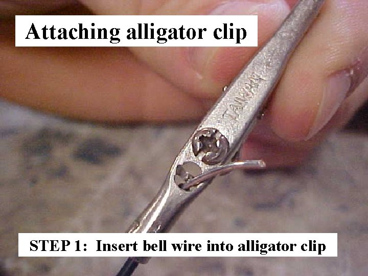 Attaching alligator clip STEP 1: Insert bell wire into alligator clip 