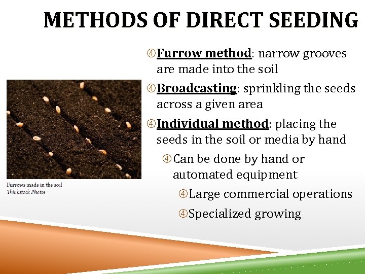 METHODS OF DIRECT SEEDING Furrow method: narrow grooves are made into the soil Broadcasting: