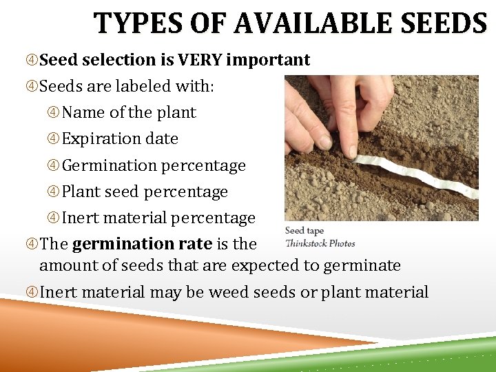 TYPES OF AVAILABLE SEEDS Seed selection is VERY important Seeds are labeled with: Name