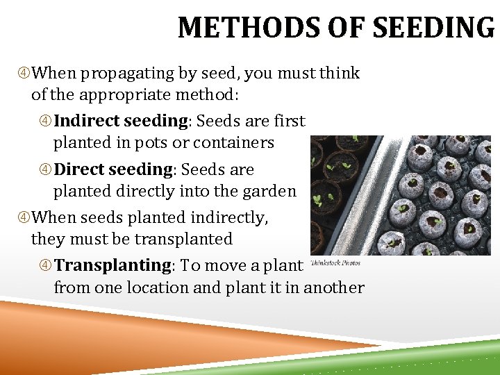 METHODS OF SEEDING When propagating by seed, you must think of the appropriate method: