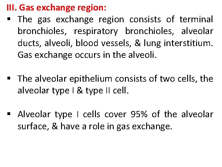 III. Gas exchange region: § The gas exchange region consists of terminal bronchioles, respiratory