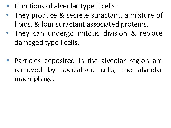 § Functions of alveolar type II cells: • They produce & secrete suractant, a