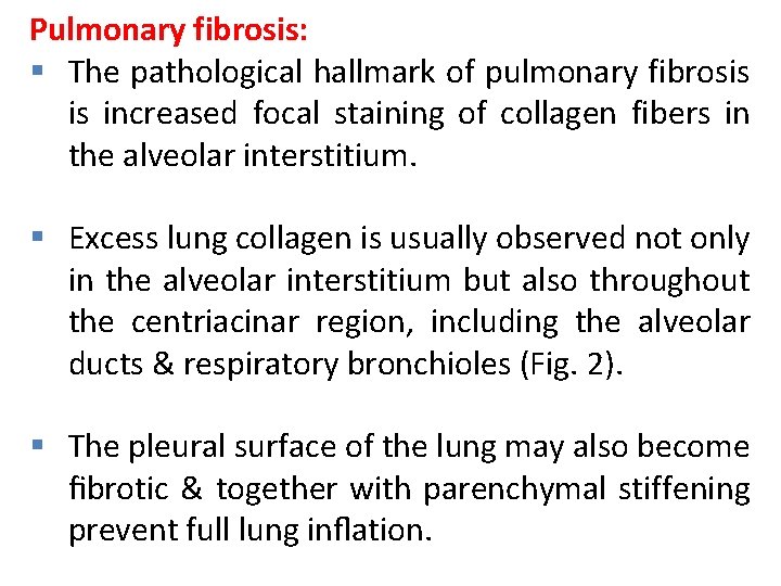 Pulmonary fibrosis: § The pathological hallmark of pulmonary fibrosis is increased focal staining of