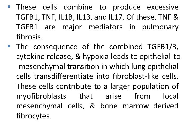 § These cells combine to produce excessive TGFB 1, TNF, IL 1 B, IL
