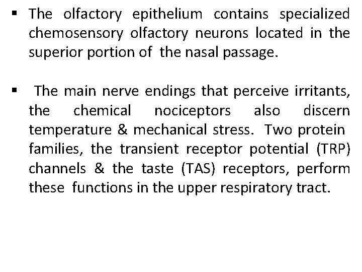 § The olfactory epithelium contains specialized chemosensory olfactory neurons located in the superior portion
