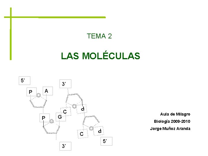 TEMA 2 LAS MOLÉCULAS 5’ 3’ A Aula de Milagro Biología 2009 -2010 C