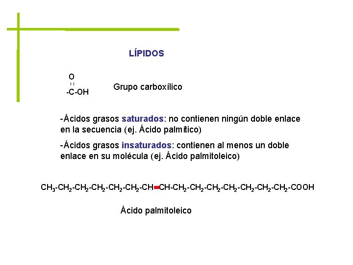 LÍPIDOS O -C-OH Grupo carboxílico -Ácidos grasos saturados: no contienen ningún doble enlace en