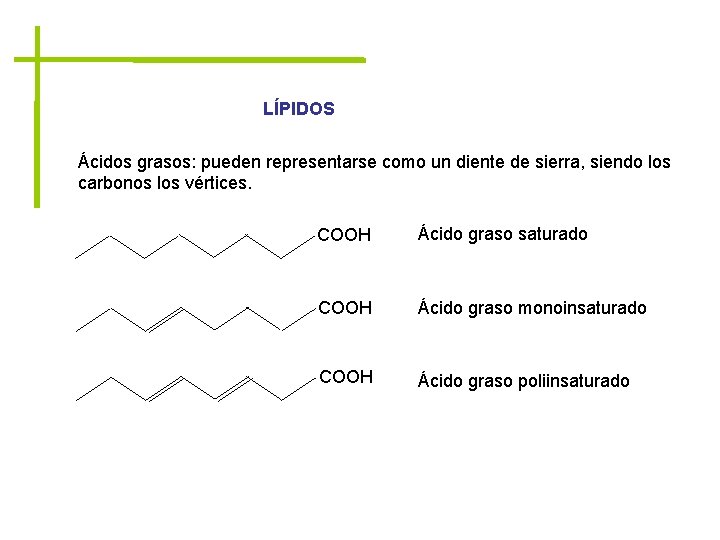 LÍPIDOS Ácidos grasos: pueden representarse como un diente de sierra, siendo los carbonos los