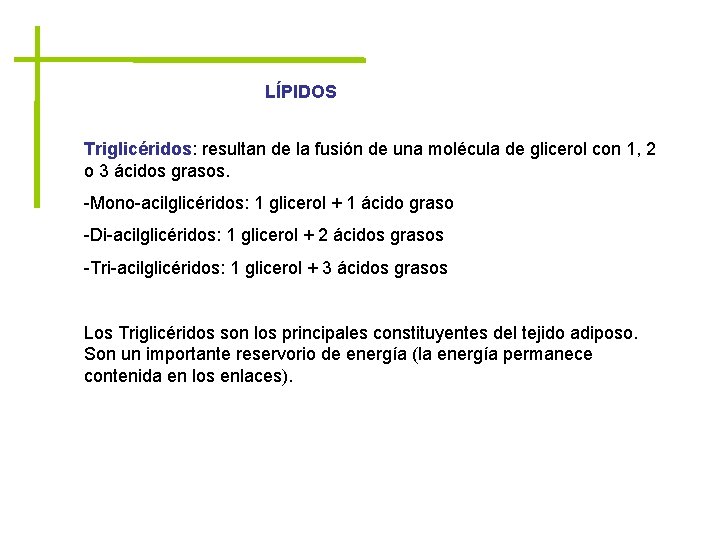 LÍPIDOS Triglicéridos: resultan de la fusión de una molécula de glicerol con 1, 2