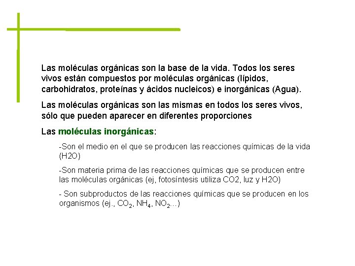 Las moléculas orgánicas son la base de la vida. Todos los seres vivos están