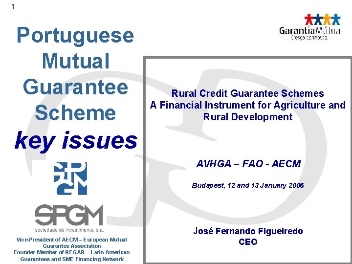 1 Portuguese Mutual Guarantee Scheme Rural Credit Guarantee Schemes A Financial Instrument for Agriculture