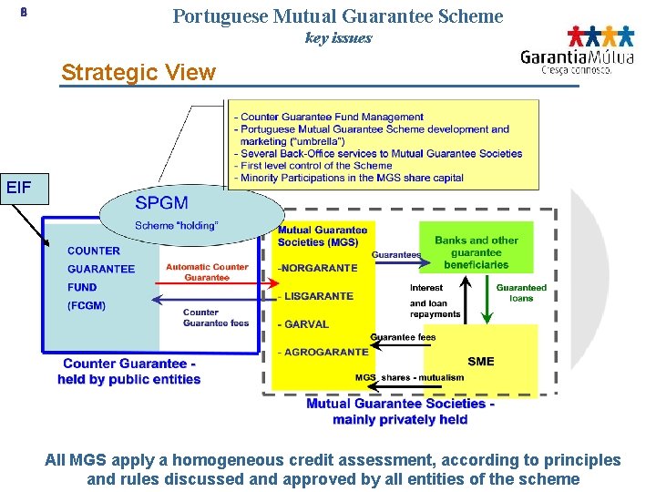 8 Portuguese Mutual Guarantee Scheme key issues Strategic View EIF All MGS apply a