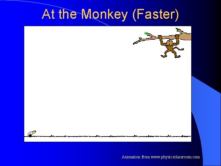 At the Monkey (Faster) Animation from www. physicsclassroom. com 