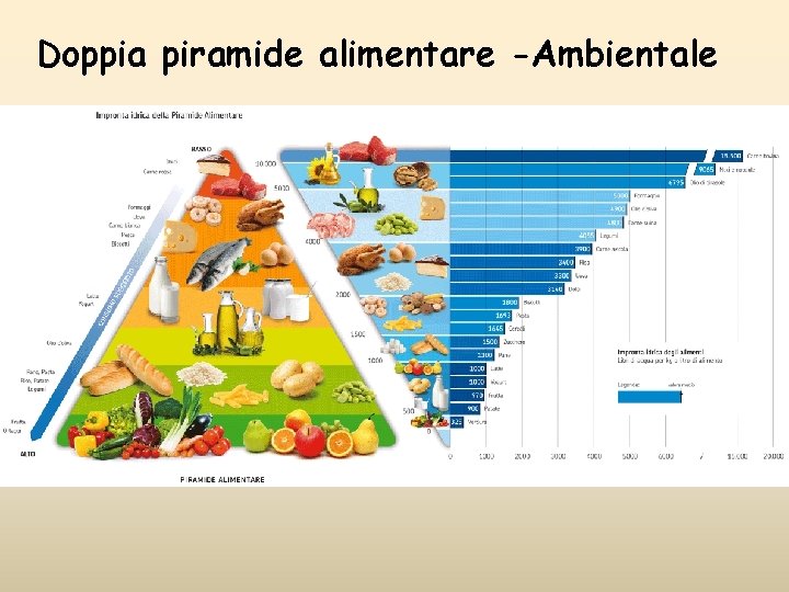 Doppia piramide alimentare -Ambientale Doppia piramide alimentare -Ambientale