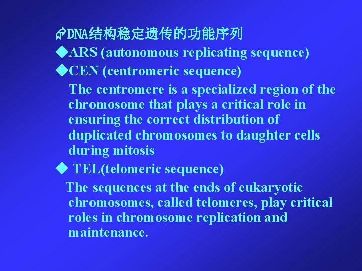  DNA结构稳定遗传的功能序列 ◆ARS (autonomous replicating sequence) ◆CEN (centromeric sequence) The centromere is a specialized