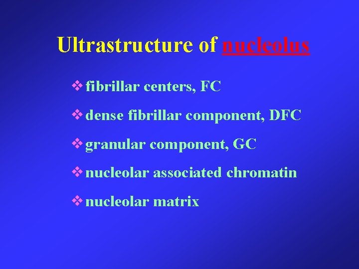 Ultrastructure of nucleolus ❖fibrillar centers, FC ❖dense fibrillar component, DFC ❖granular component, GC ❖nucleolar