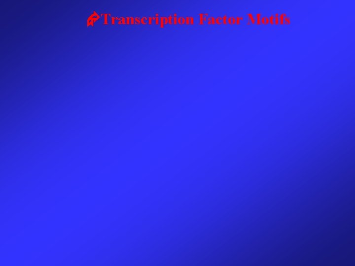  Transcription Factor Motifs 