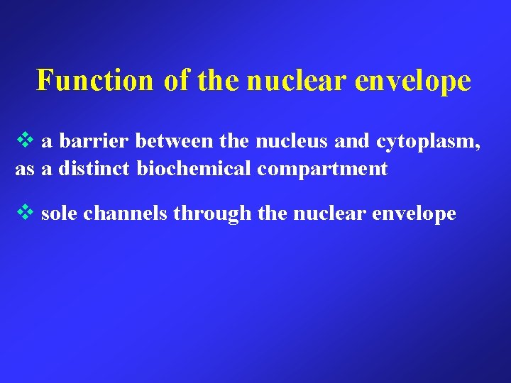 Function of the nuclear envelope a barrier between the nucleus and cytoplasm, as a