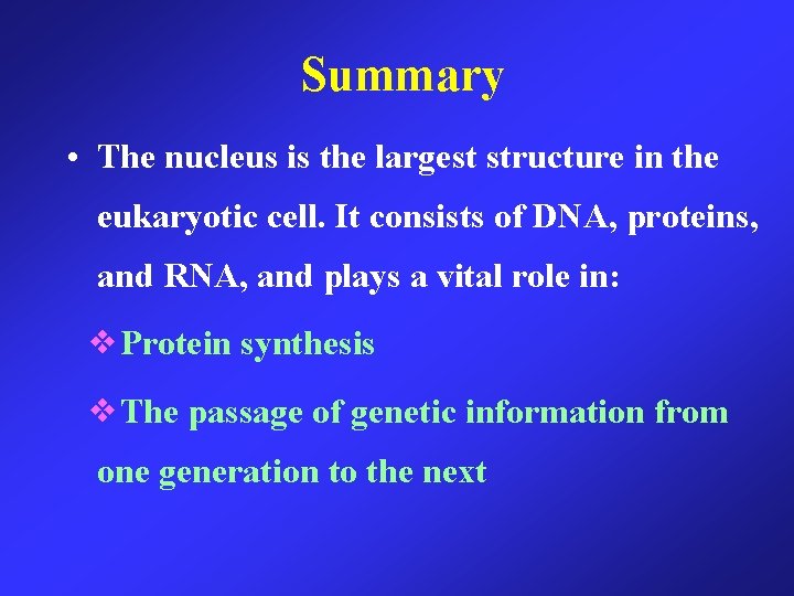 Summary • The nucleus is the largest structure in the eukaryotic cell. It consists