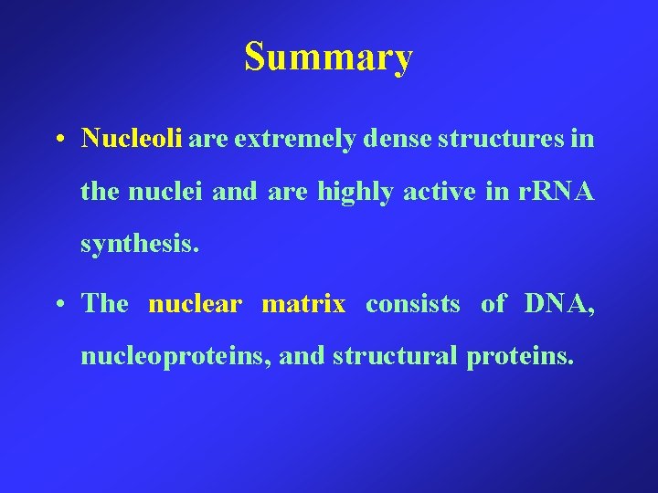 Summary • Nucleoli are extremely dense structures in the nuclei and are highly active
