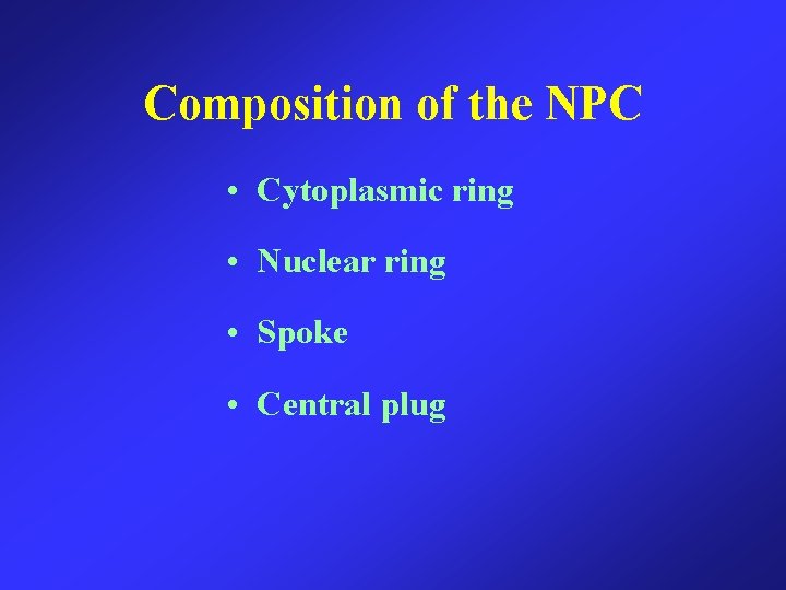 Composition of the NPC • Cytoplasmic ring • Nuclear ring • Spoke • Central