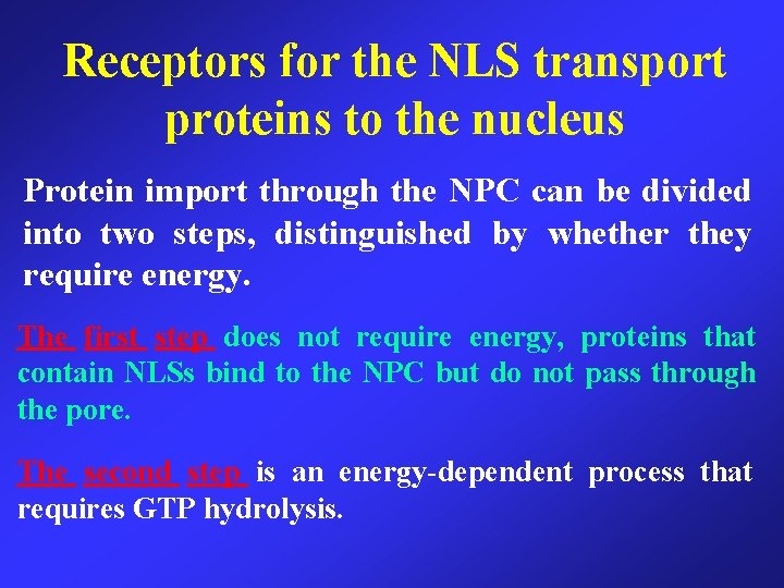 Receptors for the NLS transport proteins to the nucleus Protein import through the NPC