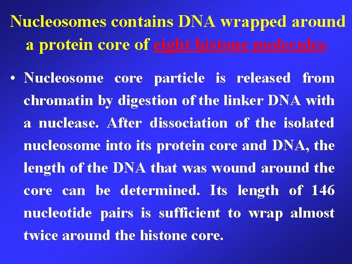 Nucleosomes contains DNA wrapped around a protein core of eight histone molecules • Nucleosome