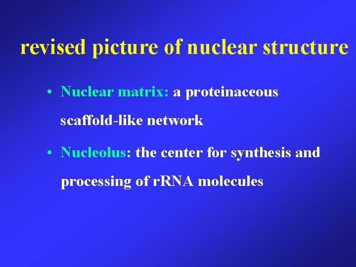 revised picture of nuclear structure • Nuclear matrix: a proteinaceous scaffold-like network • Nucleolus: