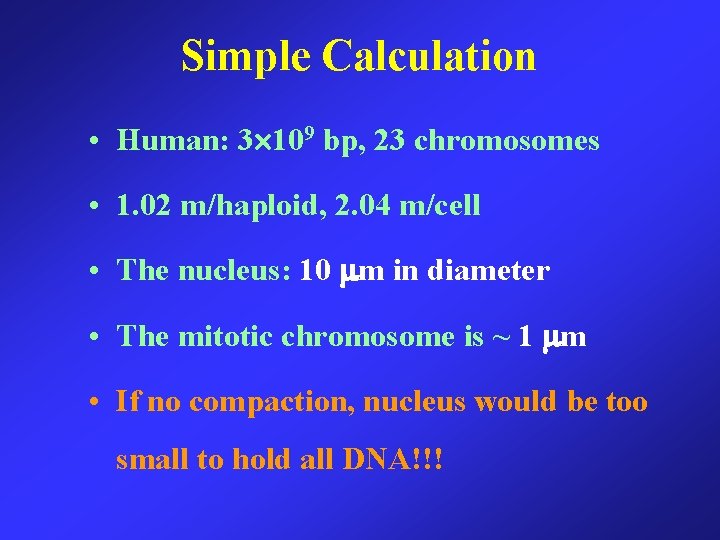 Simple Calculation • Human: 3 109 bp, 23 chromosomes • 1. 02 m/haploid, 2.