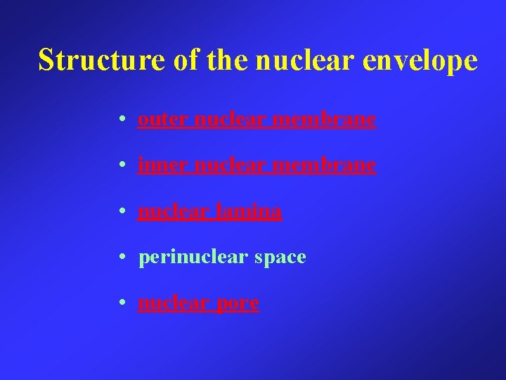 Structure of the nuclear envelope • outer nuclear membrane • inner nuclear membrane •