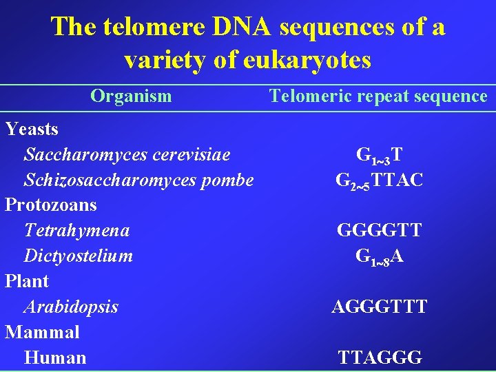 The telomere DNA sequences of a variety of eukaryotes Organism Yeasts Saccharomyces cerevisiae Schizosaccharomyces