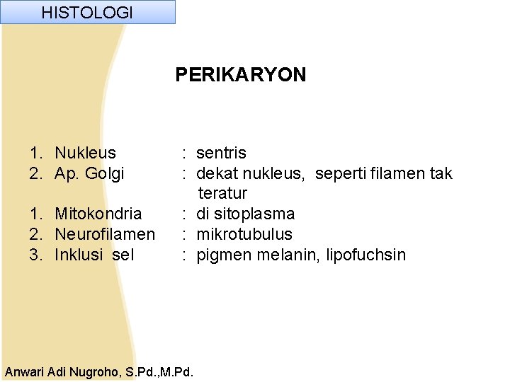 HISTOLOGI PERIKARYON 1. Nukleus 2. Ap. Golgi 1. Mitokondria 2. Neurofilamen 3. Inklusi sel HISTOLOGI PERIKARYON 1. Nukleus 2. Ap. Golgi 1. Mitokondria 2. Neurofilamen 3. Inklusi sel