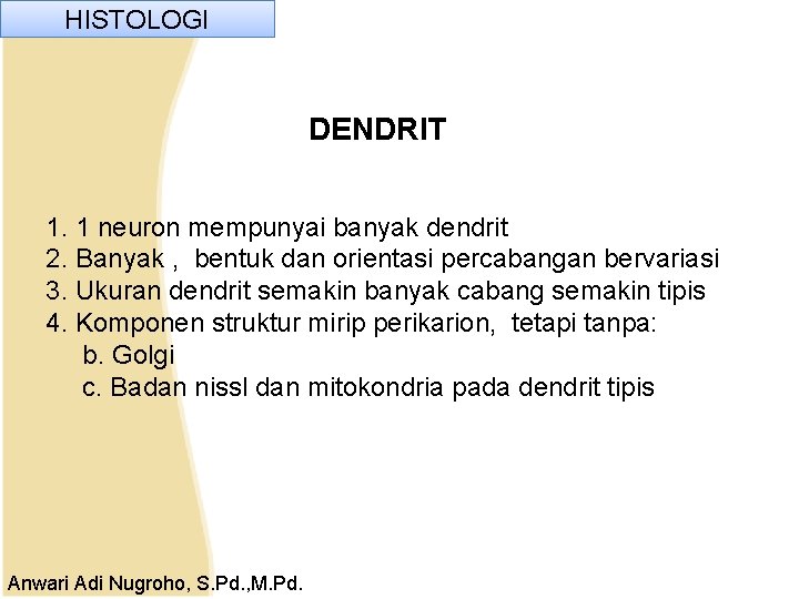 HISTOLOGI DENDRIT 1. 1 neuron mempunyai banyak dendrit 2. Banyak , bentuk dan orientasi HISTOLOGI DENDRIT 1. 1 neuron mempunyai banyak dendrit 2. Banyak , bentuk dan orientasi