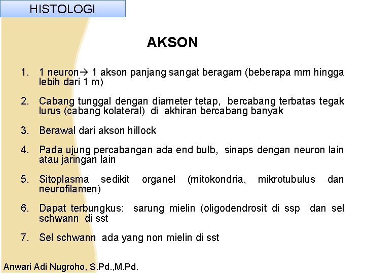 HISTOLOGI AKSON 1. 1 neuron 1 akson panjang sangat beragam (beberapa mm hingga lebih HISTOLOGI AKSON 1. 1 neuron 1 akson panjang sangat beragam (beberapa mm hingga lebih