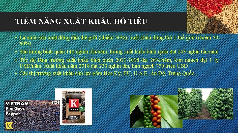 TIỀM NĂNG XUẤT KHẨU HỒ TIÊU • Là nước sản xuất đứng đầu thế