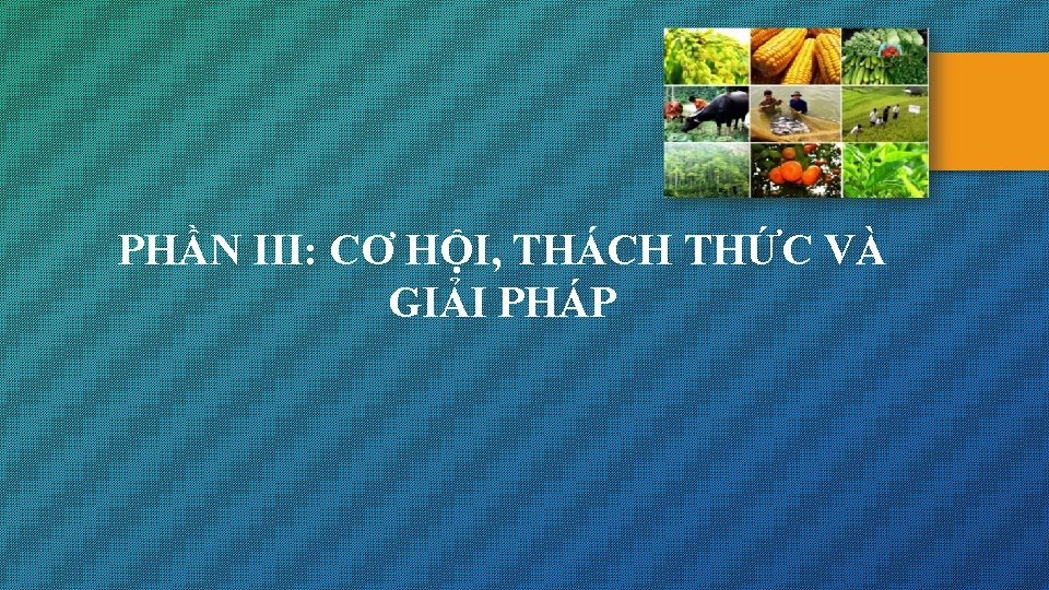 PHẦN III: CƠ HỘI, THÁCH THỨC VÀ GIẢI PHÁP 