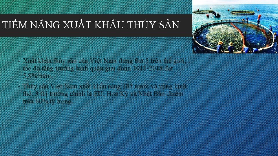 TIỀM NĂNG XUẤT KHẨU THỦY SẢN - Xuất khẩu thủy sản của Việt Nam