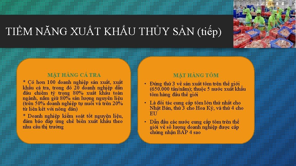 TIỀM NĂNG XUẤT KHẨU THỦY SẢN (tiếp) MẶT HÀNG CÁ TRA * Có hơn