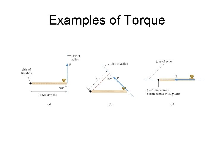 Examples of Torque 