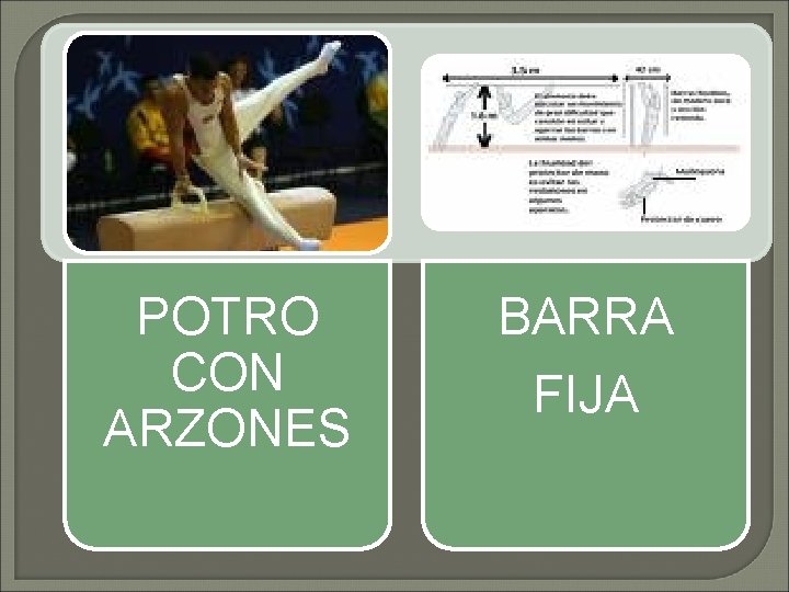 POTRO CON ARZONES BARRA FIJA 
