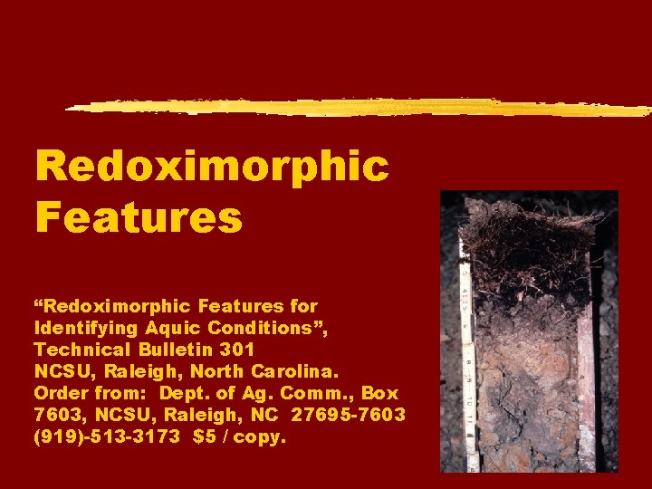 Redoximorphic Features “Redoximorphic Features for Identifying Aquic Conditions”, Technical Bulletin 301 NCSU, Raleigh, North