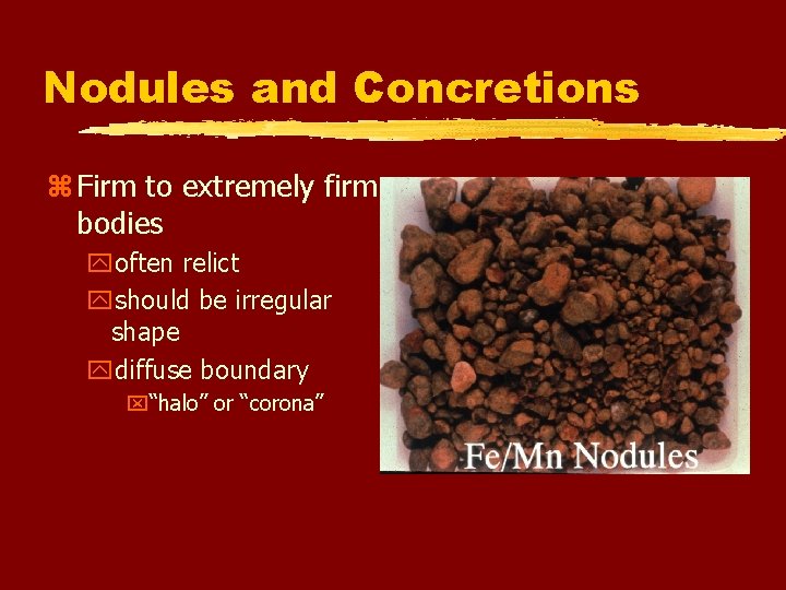 Nodules and Concretions z Firm to extremely firm bodies yoften relict yshould be irregular