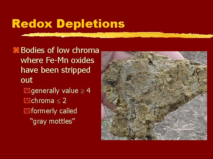 Redox Depletions z Bodies of low chroma where Fe-Mn oxides have been stripped out